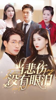 当悲伤没有眼泪第1-20集