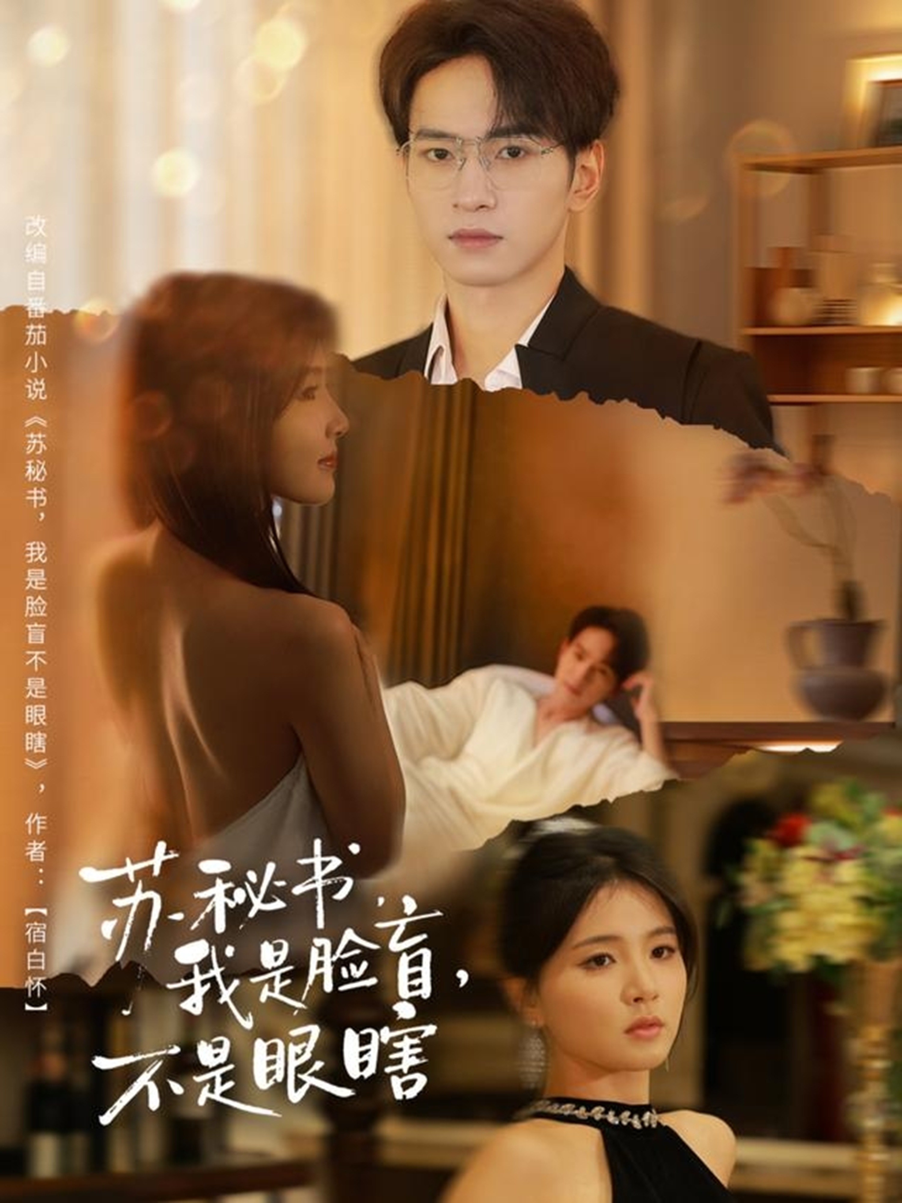 苏秘书我是脸盲不是眼瞎第45集