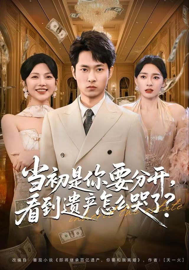 当初是你要分开，看到遗产怎么哭了？第02集