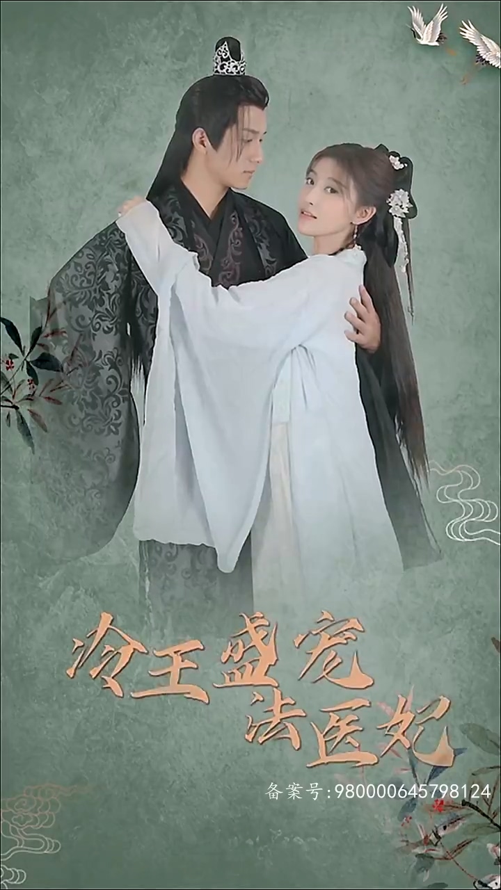凤还巢：冷王盛宠法医妃第06集