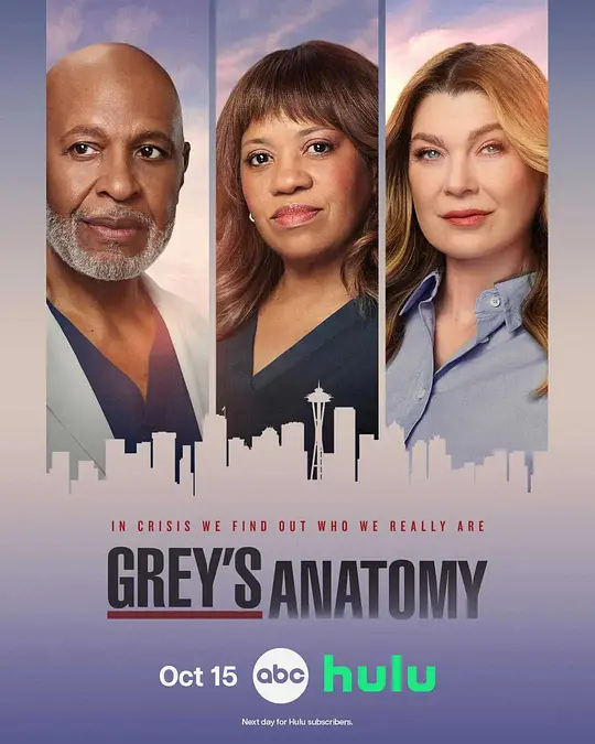 实习医生格蕾第二十三季(全集)